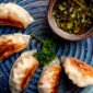 gyoza food asiatique